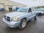 2007 DODGE DAKOTA