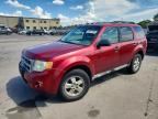 2009 FORD ESCAPE