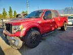 2010 FORD F150