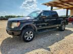 2011 FORD F150