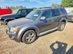 2010 FORD ESCAPE