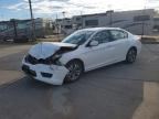 2013 HONDA ACCORD