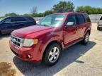 2010 FORD ESCAPE