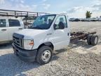 2024 FORD ECONOLINE
