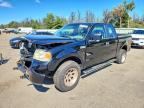 2006 FORD F150