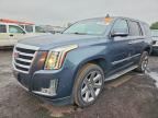 2019 CADILLAC ESCALADE