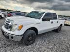 2009 FORD F150