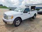 2010 FORD F150