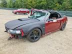 2001 FORD MUSTANG