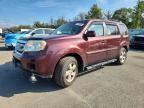 2011 HONDA PILOT