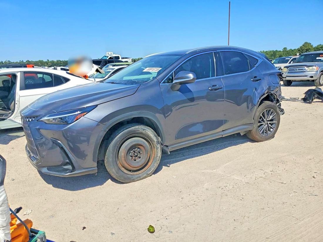 2024 LEXUS NX