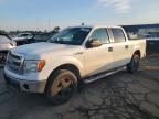 2013 FORD F150