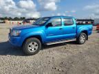 2006 TOYOTA TACOMA