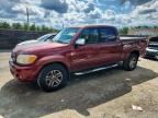 2005 TOYOTA TUNDRA