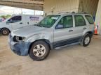 2006 FORD ESCAPE