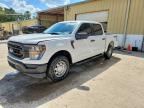 2023 FORD F150