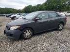2009 TOYOTA COROLLA