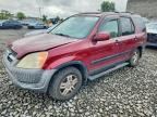 2004 HONDA CR-V
