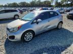 2013 KIA RIO