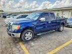 2010 FORD F150