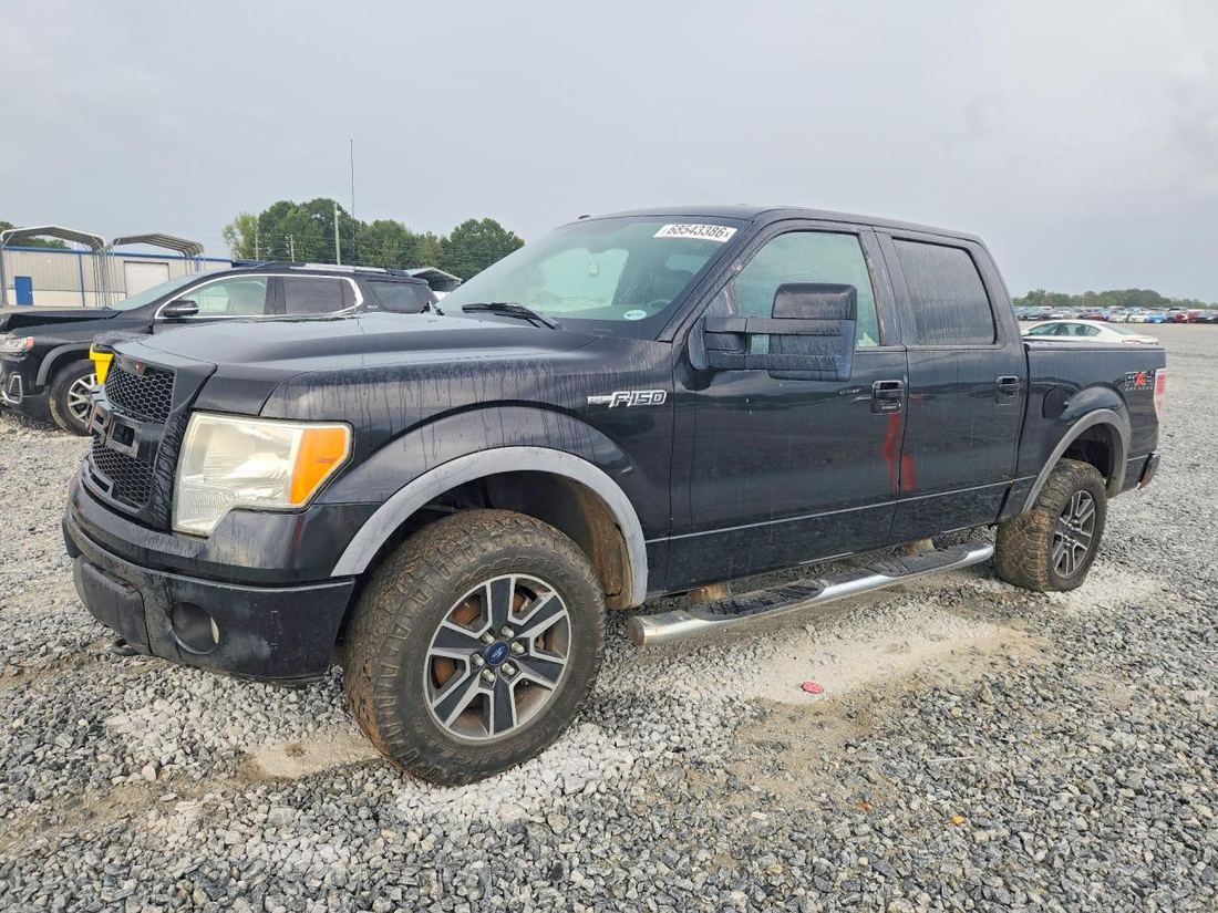 2010 FORD F150
