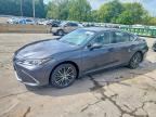 2023 LEXUS ES 350