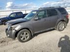 2012 FORD ESCAPE