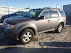 2012 FORD ESCAPE