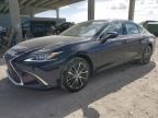 2024 LEXUS ES