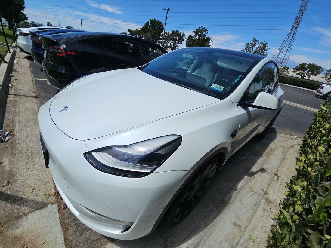 2023 TESLA Model Y