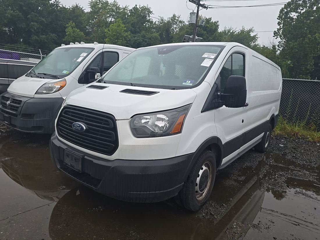 2019 FORD 150