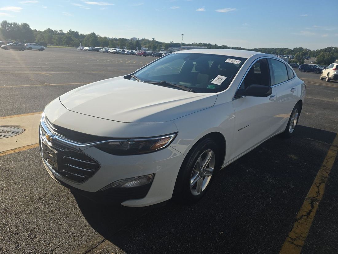 2023 CHEVROLET LS (1FL)
