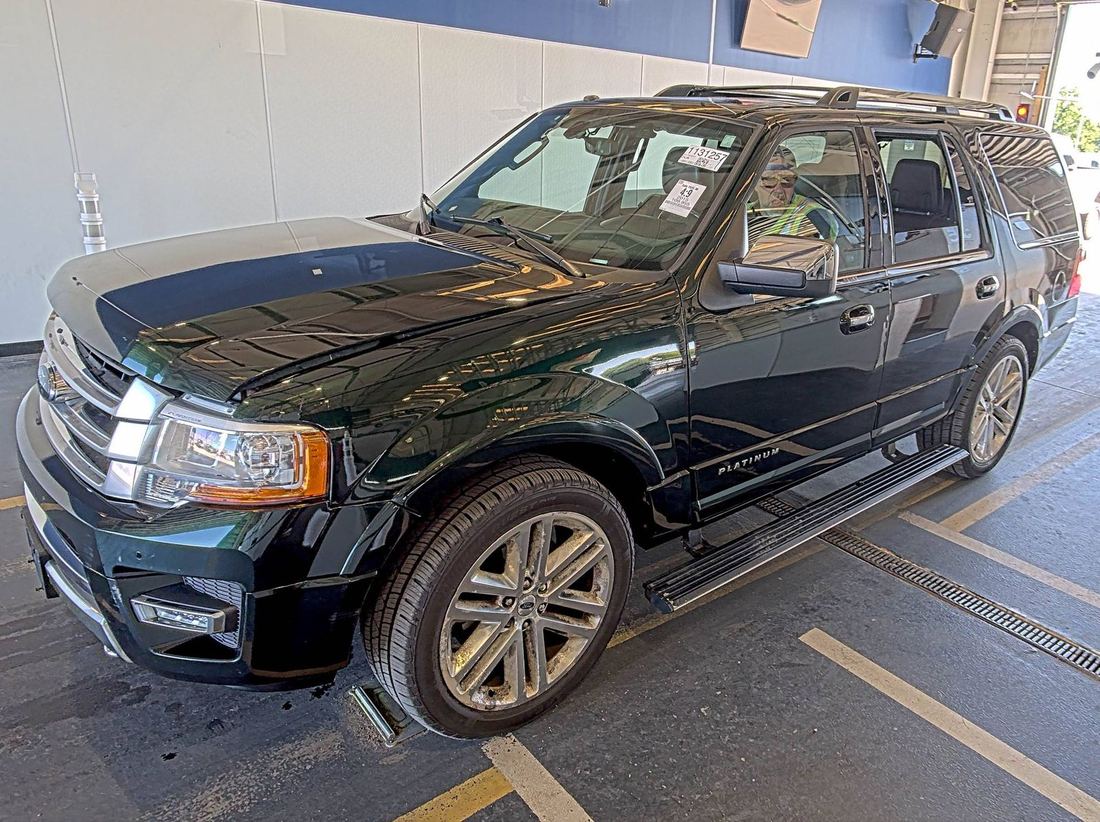 2015 FORD Platinum