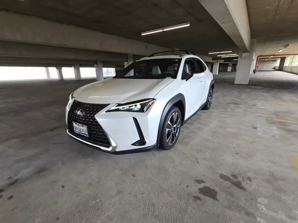 2025 Lexus 11 Series