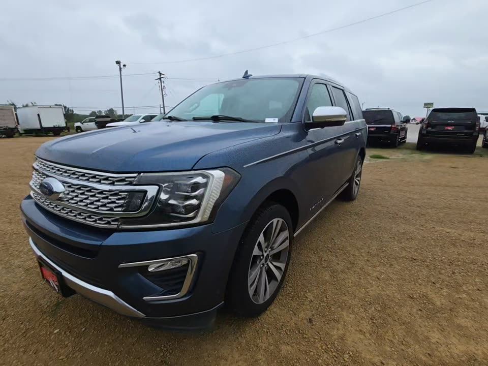2020 Ford Platinum