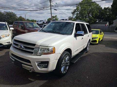 2015 Ford Platinum