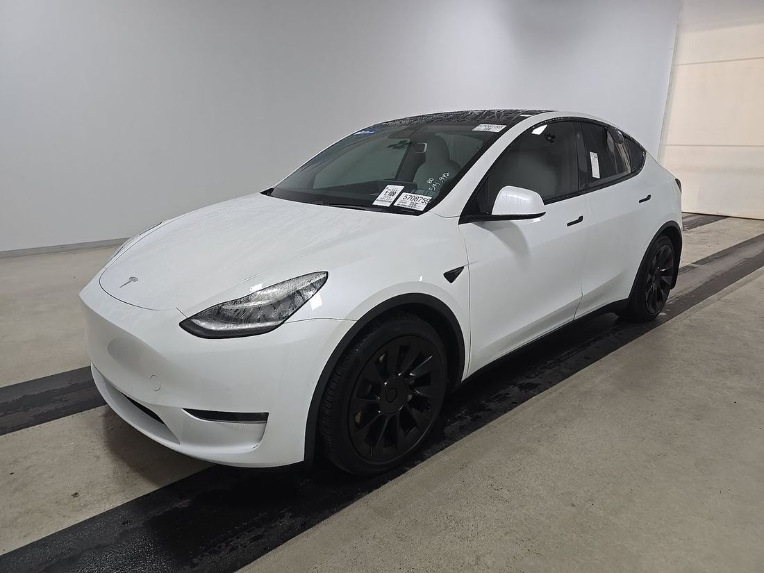 2020 Tesla Model Y