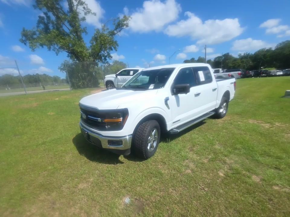 2024 Ford XLT